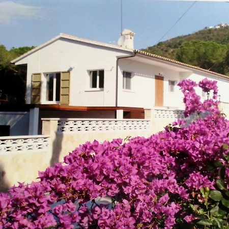Villa Felices Juntos Castell-Castell-Platja d'Aro Extérieur photo